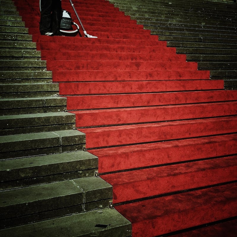 Red carpet fashion